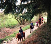 Equidétente - Randonnée à Cheval à Laillé