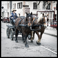 Equiloisirs à Fabas