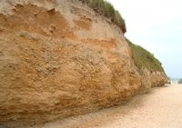 Falaise du Cap Romain - Patrimoine Naturel à Luc-sur-Mer