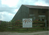 Ferme de la Grande Plaine - Ferme Equestre à Saint Vincent en Bresse