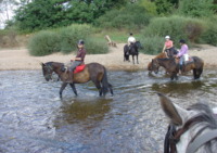 Ferme équestre de Chambon - Randonnée à Cheval à Chambon