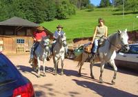 Ferme Equestre du Chauffour - Gîte à Stampoumont