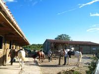 Ferme Équestre Les Farfadets - Centre Equestre à Vacquières