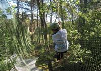 Forêt Adrénaline - Accrobranche à Carnac (56)