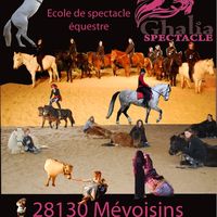 Ghalia Spectacle - Spectacle Equestre à Mevoisins