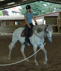 Granite Mountain Stables - Le Breuil