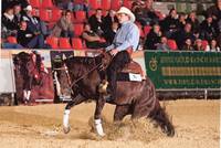 Greg Barn-Quarter Horses - Équitation Western à Villette