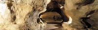 GROTTE DE PAIR-NON-PAIR - Grotte et gouffre à Prignac-et-Marcamps