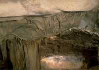 Grotte du Pech-Merle - Grotte et gouffre à Cabrerets