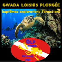 Gwadaloisirs Plongée Glpdiving - Club de Plongée à Deshaies (97)