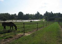 Haras de Louravi - Centre Equestre à Bazainville