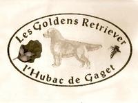 Hubac de Gaget - Elevage Golden Retriever à Viens