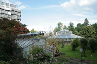 Jardin Botanique de Strasbourg - Parc et jardin à Strasbourg