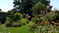 Jardin Botanique de la Couture - Parc et Jardin à Saint Jean d'Angle