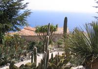 Jardin d'Eze - Jardin Exotique - Parc et jardin à Èze