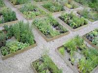 Jardin de la Briqueterie - Visite de Jardin et Pépinière à Avernes-Saint-Gourgon