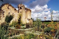 Jardin de la Commanderie de Sallebruneau - Parc et jardin à Frontenac