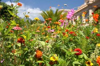 Jardin de la Serre de la Madone - Parc et jardin à Menton