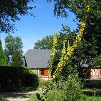 Jardin des Amouhoques - Parc et jardin Le Mesnil-Durdent