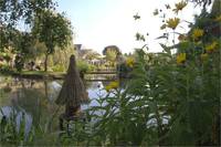 Jardin Secret du Grand Boulay - Visite de Jardin et Pépinière à Denaze