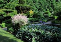 Jardins de Castillon - Parc et jardin à Castillon