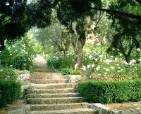 Jardins de la Villa Fort France - Parc et jardin à Grasse