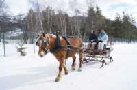 L'Attelage du Val d'Allos - Randonnée à Cheval à Allos (04)