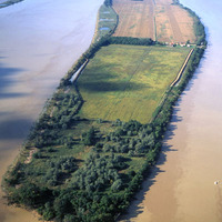 L'Île Nouvelle - Patrimoine Naturel à Blaye