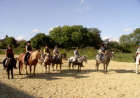 La Chevauchee - Centre Equestre à Aougny