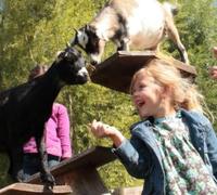 La Ferme de Découverte Saint-André - Parc animalier à Saint-André