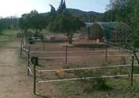 La Poulinhyeres - Poney-Club à Hyeres-les-Palmiers