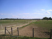 La Prairie - Poney Club de Couternon - Poney-Club à Couternon