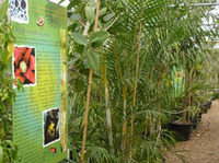 Ecosite du Bourgailh - Parc et Jardin à Pessac (33)