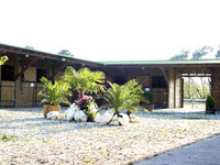 Le Cheval Autrement - Centre Equestre à Lacanau