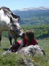 Le Col de la Molede a Cheval - Randonnée à Cheval à Albepierre (15)