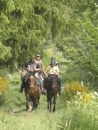 Le Corral - Randonnée à Cheval à Cheminas (07)