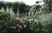 Le Jardin des Rosiers - Parc et jardin à La Puye