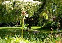 Le Jardin du Prieure de Saint Arnoult - Parc et jardin à Saint-Arnoult