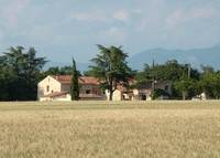 Le Mas de la Chérine - Chambre d'Hôtes à Quinson (04)