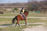 Le Mas Équestre - Centre Equestre à Aubord