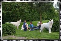 Le Paradis Boupi - Elevage Berger Blanc Suisse à Saint Georges d'Aunay