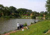 Le Parc Calonnix - Parc et jardin à Calonne-Ricouart