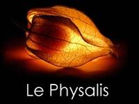 Le Physalis - Restaurant Traditionnel à Montrouge