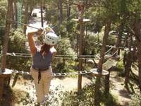 Le Royaume des Arbres - Parcours Aventure en Forêt à Charleval