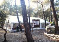 Le Royaume des Arbres - Parcours Aventure en Forêt à Charleval