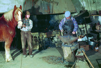 Le Vieux Mas - Ferme pédagogique à Beaucaire (30)