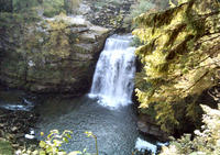 Les Bassins du Doubs - Lac à Villers-le-Lac