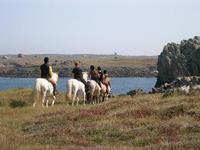 Les Calèches du Ponant - Randonnée à Cheval à Ouessant