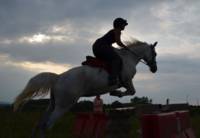 Les Crinières du Volvestre - Ecole d'Equitation à Montesquieu Volvestre (31)