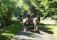 Les Irish Cobs de Bohème - Randonnée à Cheval à Villers le Sec